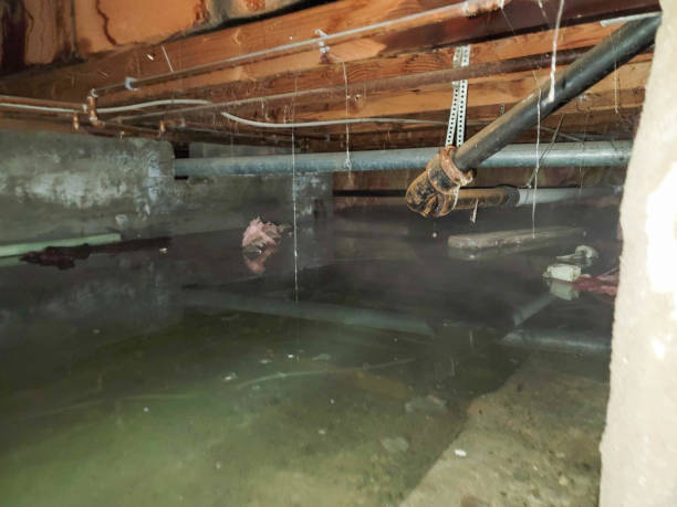Local water damage restoration in WA
