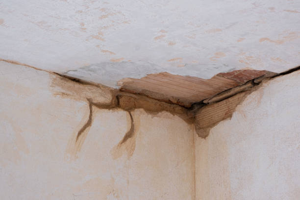 Best Basement water damage restoration  in Cavalero, WA