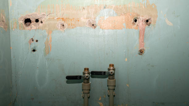  Cavalero, WA Water damage restoration Pros